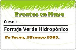 Forraje Verde Hidroponico Tacna